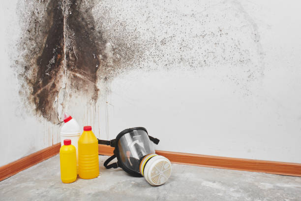 Water Damage Restoration in Brownsburg, IN