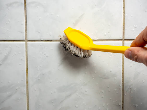 Best Attic Mold Removal  in Brownsburg, IN