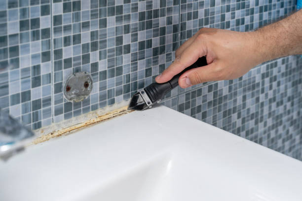 Best Mold Remediation Services  in Brownsburg, IN