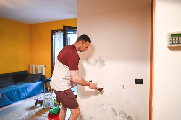 Attic Mold Removal in Brownsburg, IN
